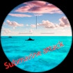 Hunting – Submarine Attack